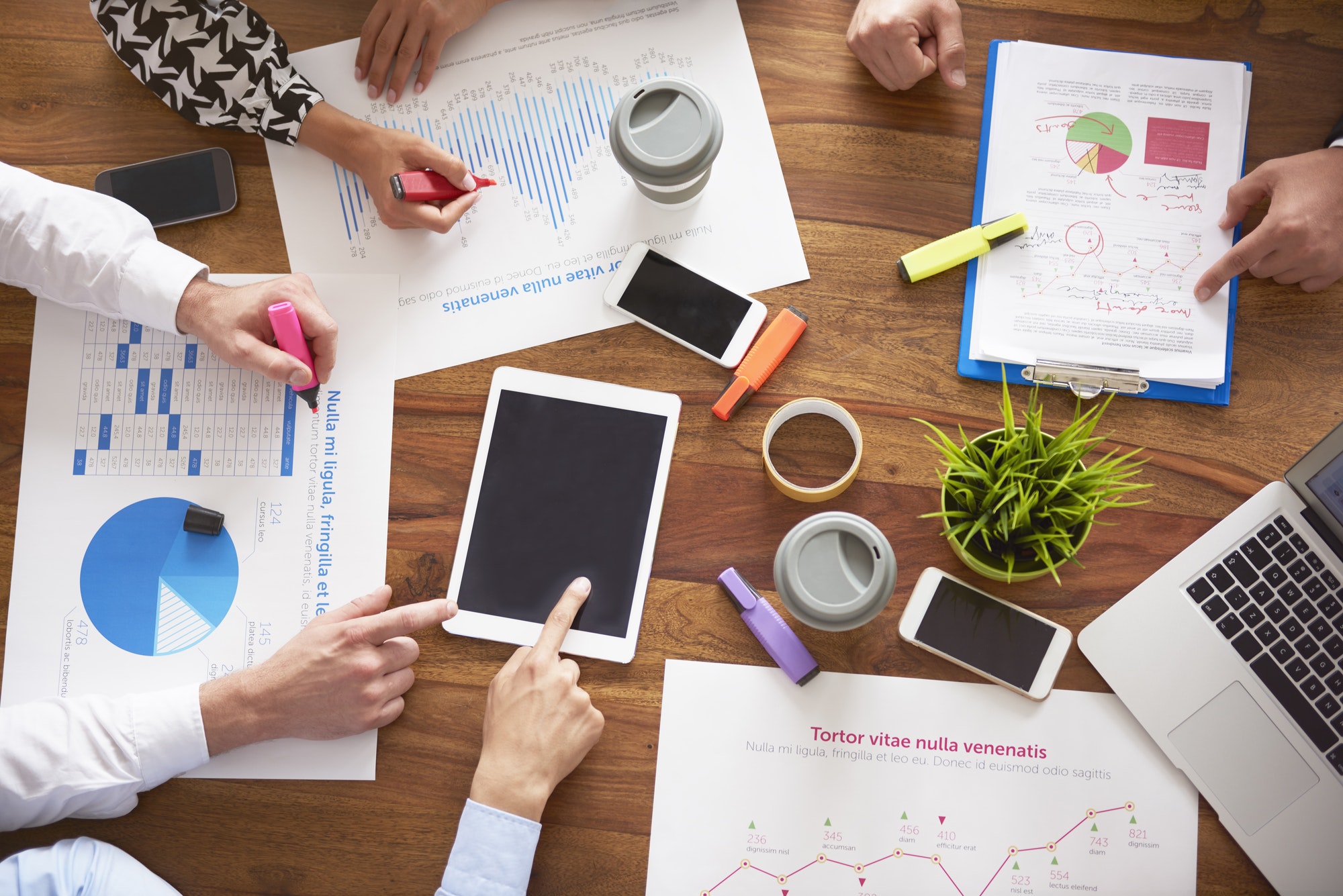 Creative Content & Branding